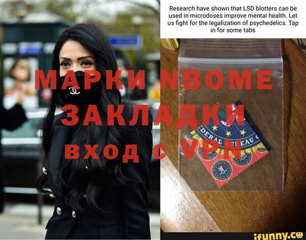 мдпв Елабуга