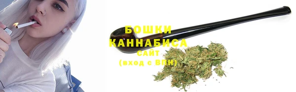 мдпв Елабуга