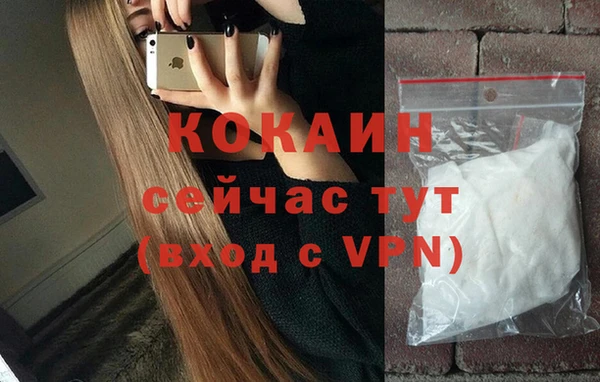 метадон Ельня