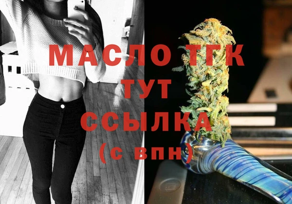 мдпв Елабуга