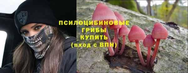 метадон Ельня