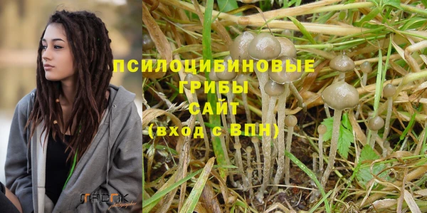 метадон Ельня