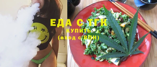 мдпв Елабуга
