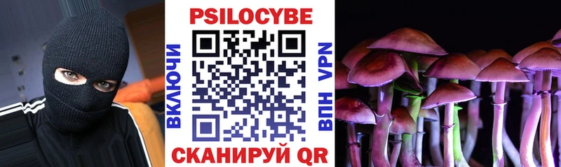 Купить закладки  Снежногорск  Галлюциногенные грибы ЛСД 